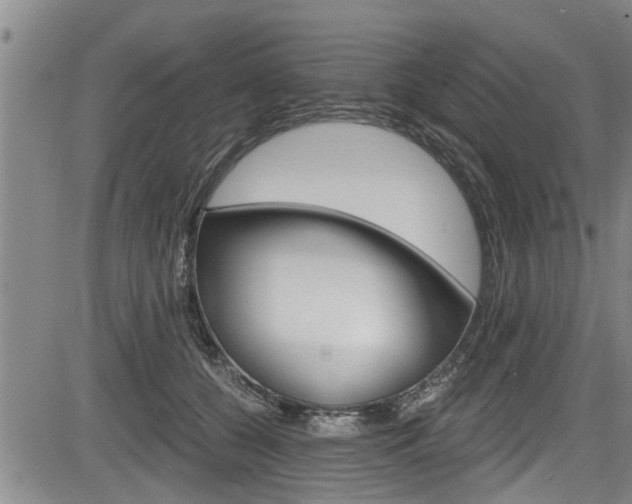 X0000084030560200702160855