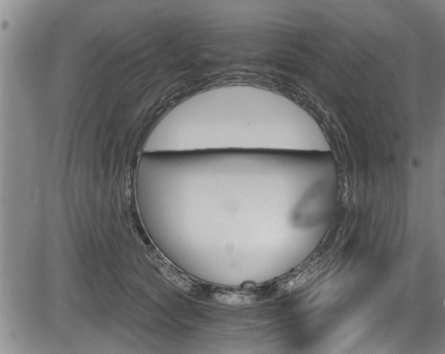 X0000084030561200702160855