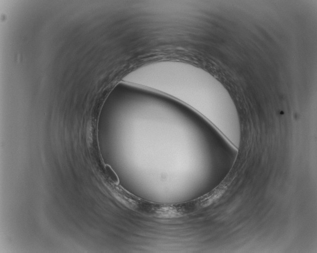 X0000084030562200702160855