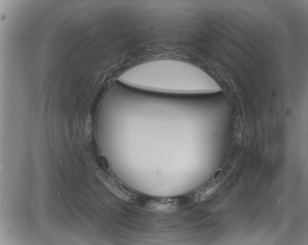 X0000084030563200702160855