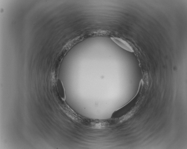 X0000084030564200702160855