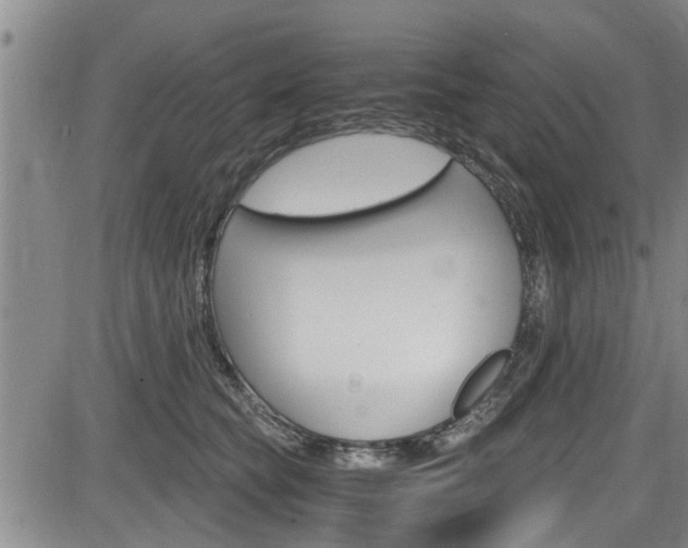 X0000084030565200702160855