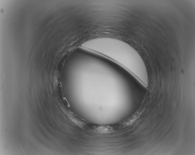 X0000084030566200702160855