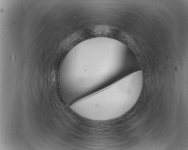 X0000084030567200702160855