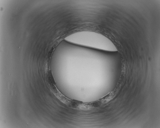 X0000084030568200702160855