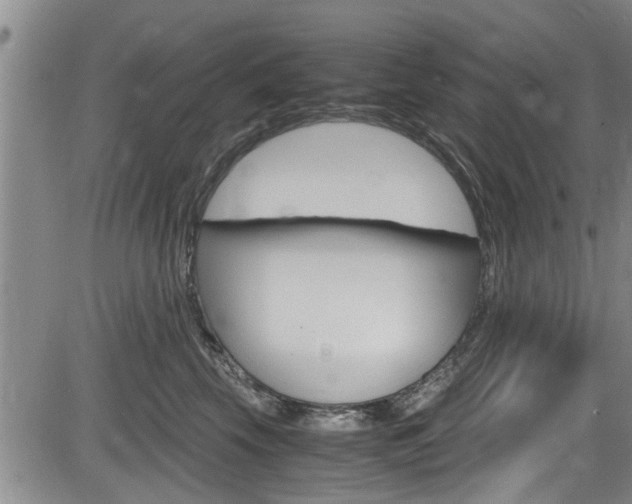 X0000084030569200702160855