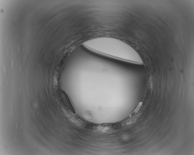 X0000084030570200702160855