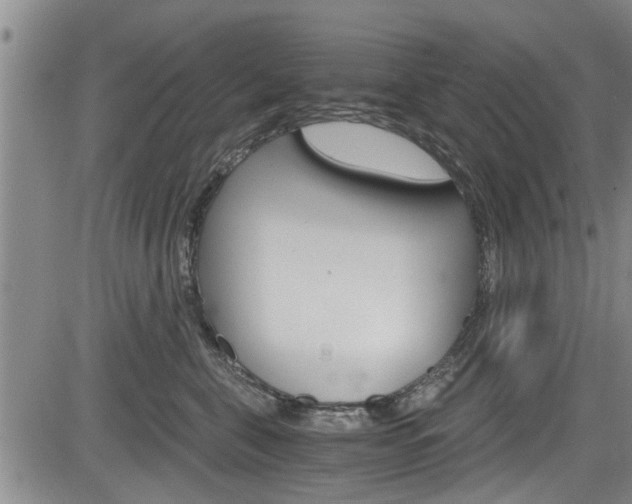 X0000084030571200702160855