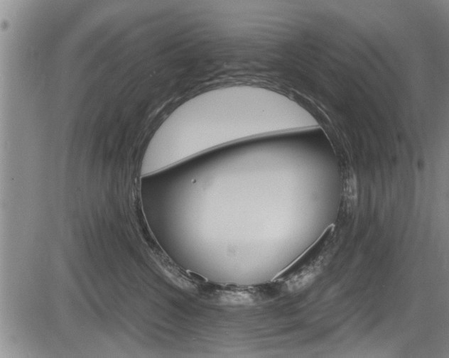 X0000084030572200702160855