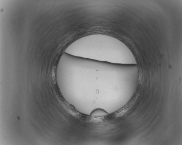 X0000084030573200702160855