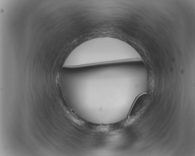 X0000084030574200702160855