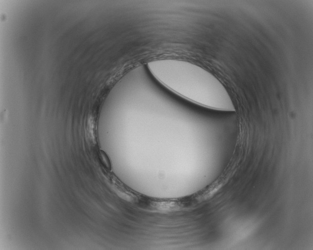 X0000084030575200702160855