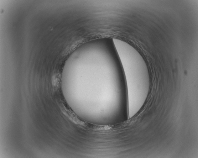 X0000084030576200702160855