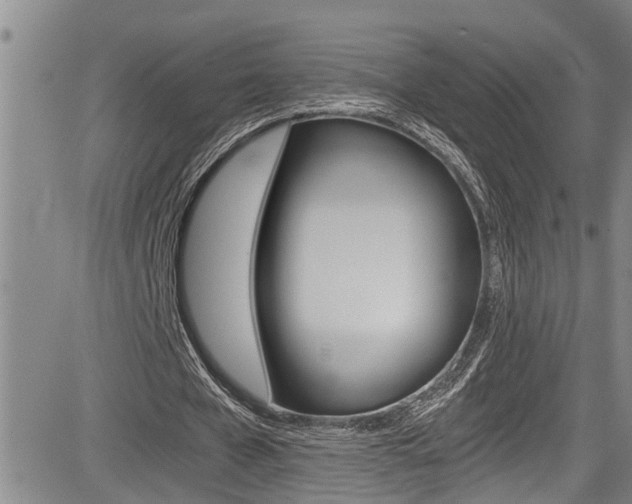 X0000084030577200702160854