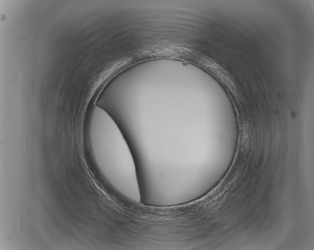 X0000084030578200702160854