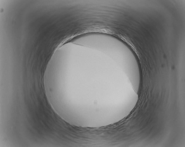 X0000084030579200702160854