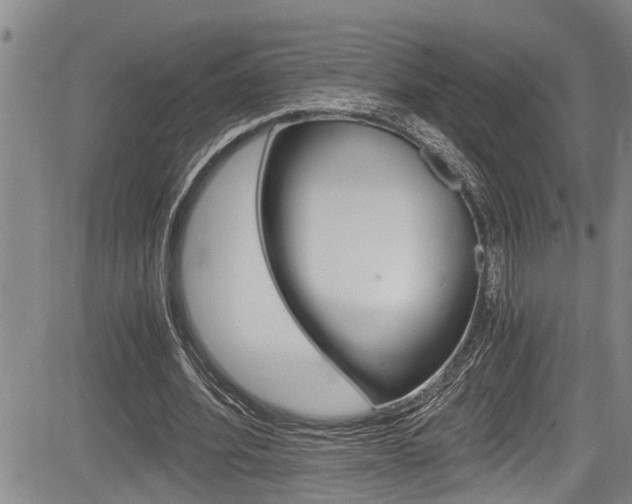 X0000084030580200702160854