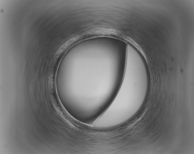 X0000084030581200702160854