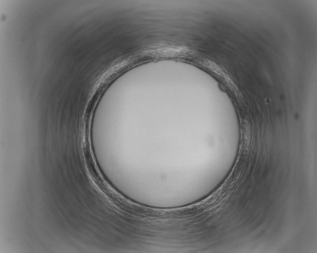 X0000084030582200702160854