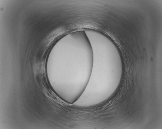 X0000084030583200702160854