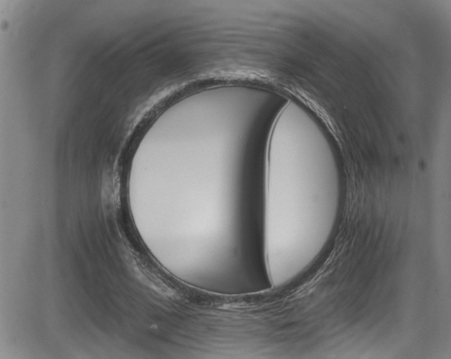 X0000084030584200702160854