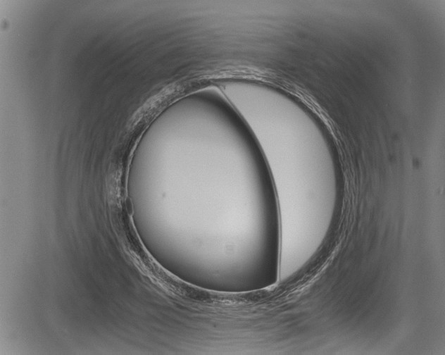 X0000084030585200702160854