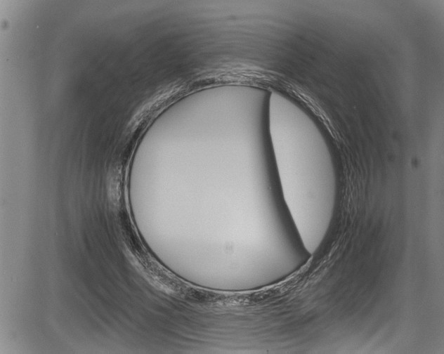 X0000084030586200702160854