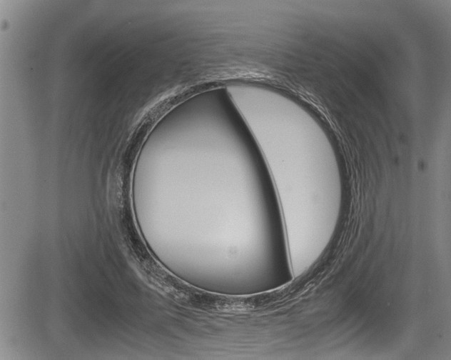 X0000084030587200702160854