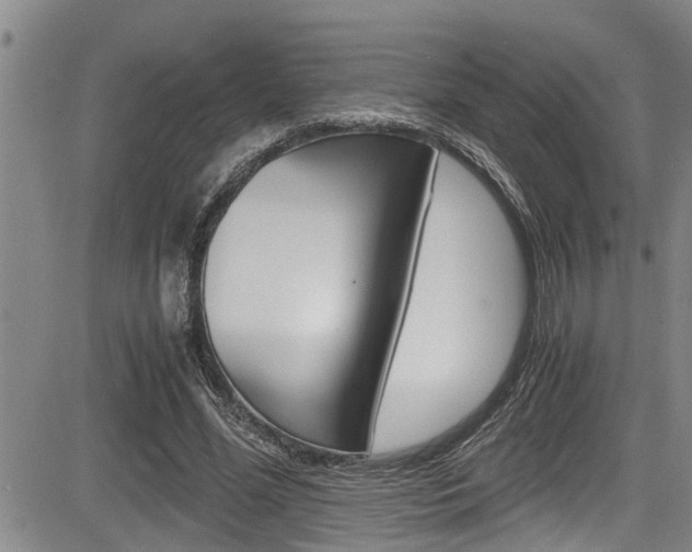 X0000084030588200702160854