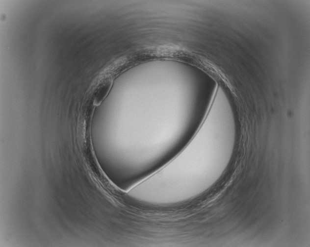 X0000084030589200702160854