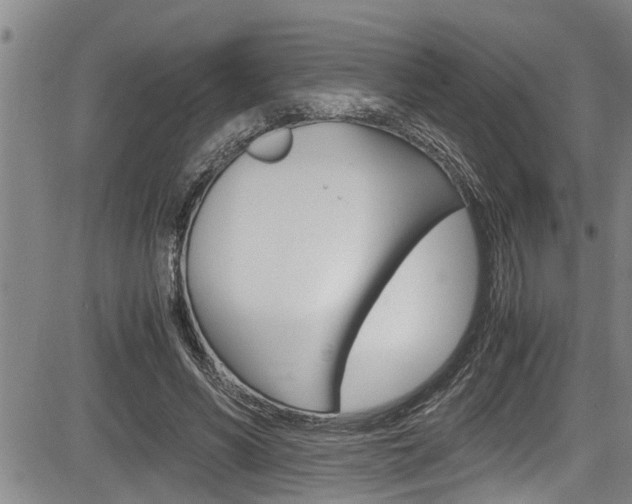 X0000084030590200702160854