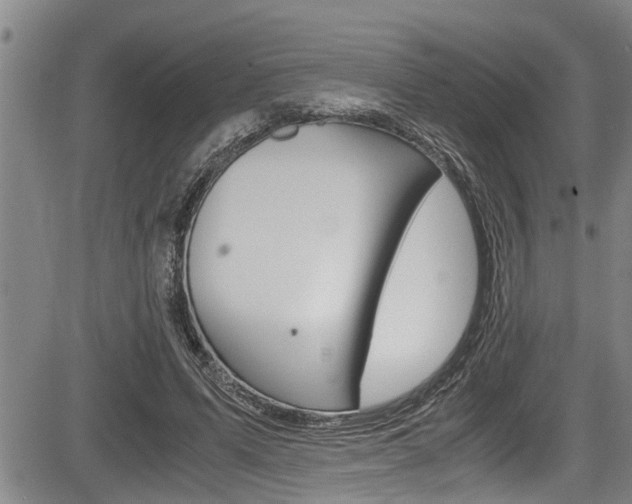 X0000084030591200702160854