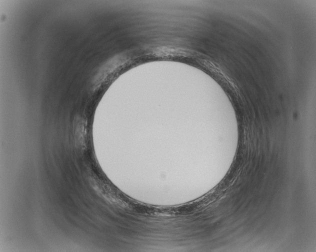 X0000084030592200702160854