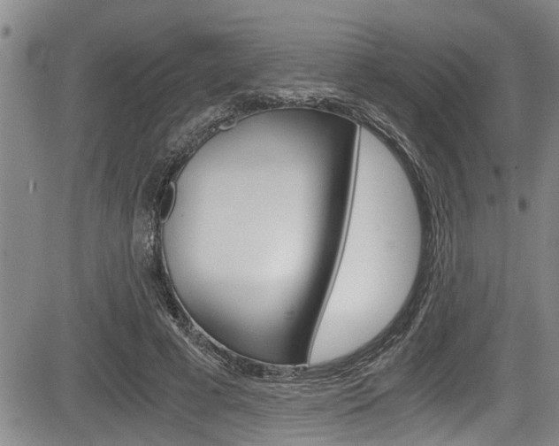 X0000084030593200702160854