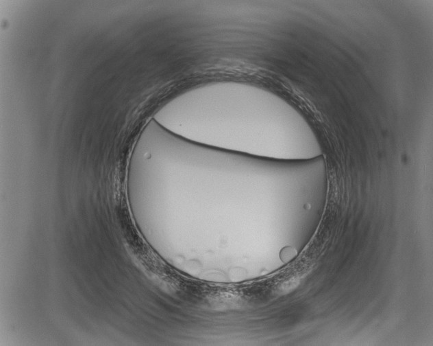 X0000084030594200702160854