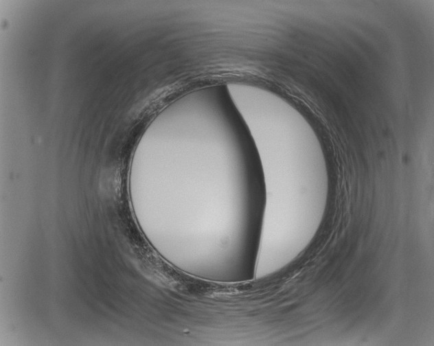 X0000084030595200702160854