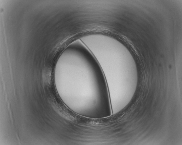 X0000084030596200702160854