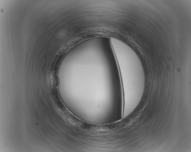 X0000084030597200702160854