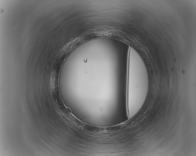 X0000084030600200702160854