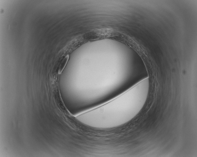 X0000084030601200702160854