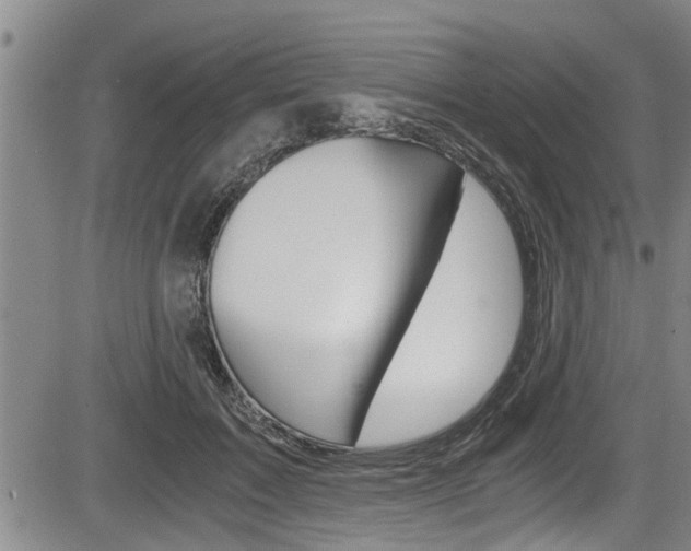 X0000084030603200702160854