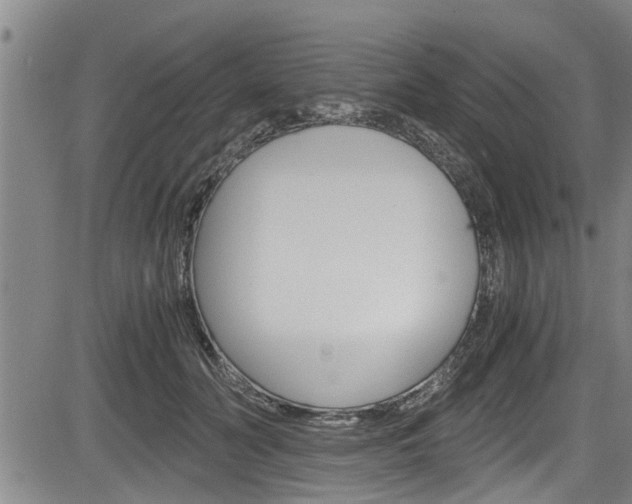 X0000084030606200702160854