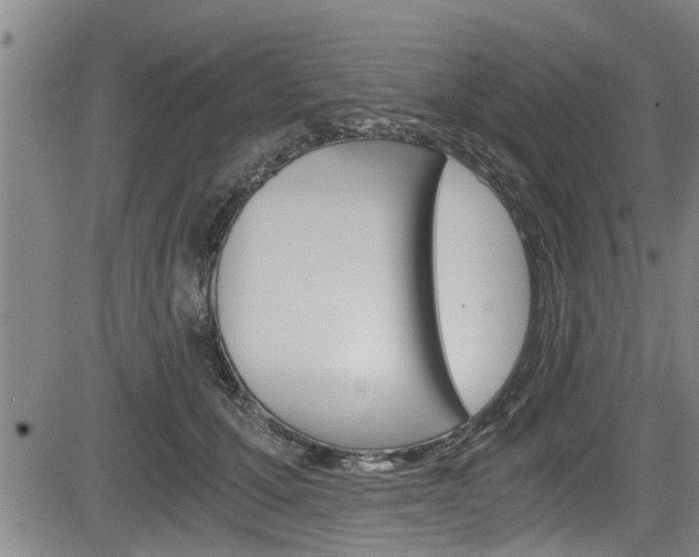 X0000084030607200702160854