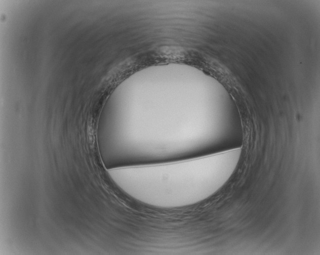 X0000084030609200702160854