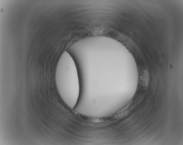 X0000084030610200702160854