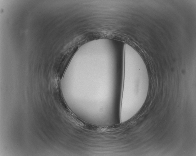 X0000084030613200702160854