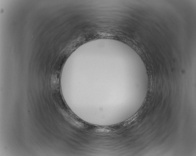 X0000084030614200702160854