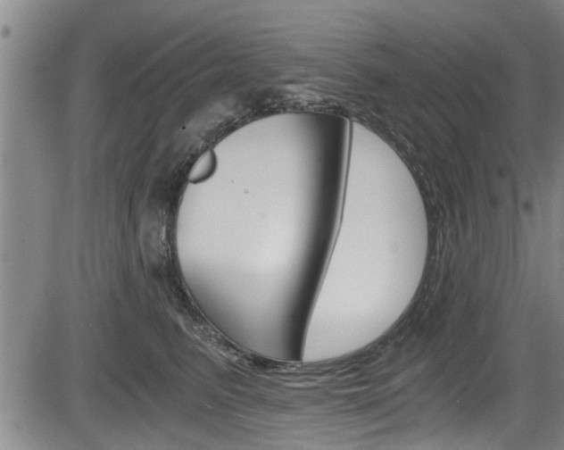 X0000084030615200702160854