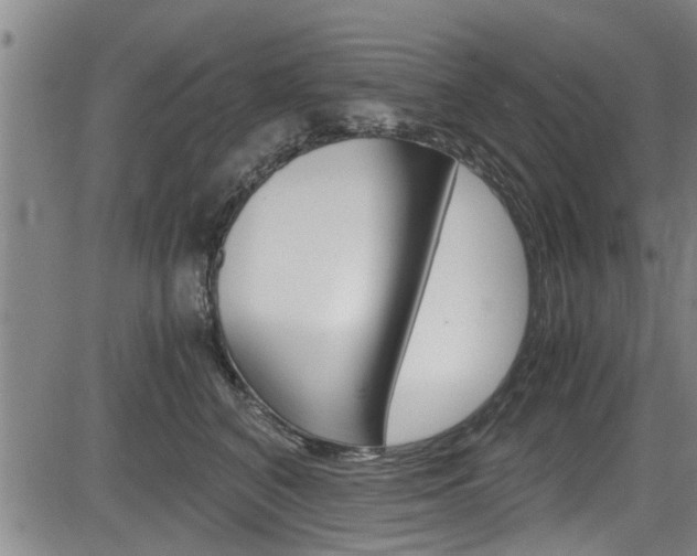 X0000084030616200702160854