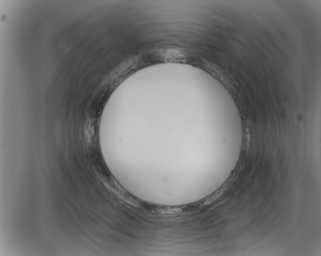 X0000084030618200702160854